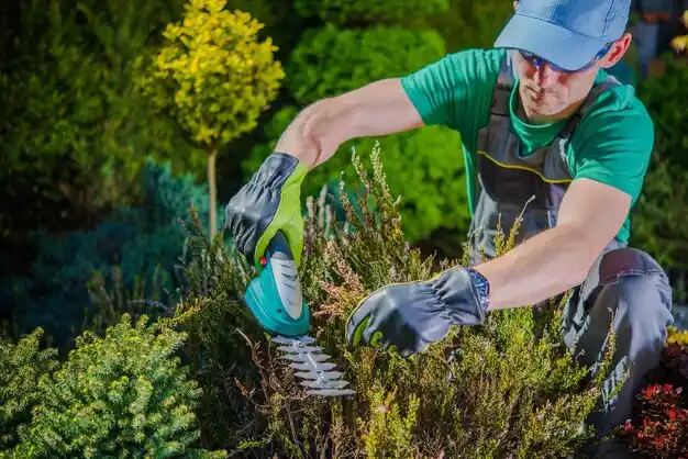 landscaping services Riverlea